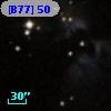 [B77]  50