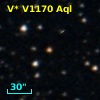 V* V1170 Aql