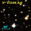 V* V1166 Aql