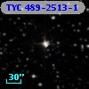 TYC  489-2513-1