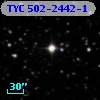 TYC  502-2442-1