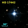 HD  17442
