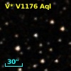 V* V1176 Aql