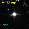 V* TX Aql