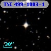 TYC  499-1003-1