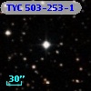 TYC  503-253-1