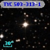 TYC  503-313-1