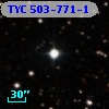 TYC  503-771-1