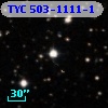 TYC  503-1111-1