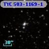 TYC  503-1169-1