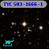 TYC  503-1666-1