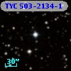 TYC  503-2134-1