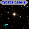 TYC  503-2300-1