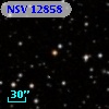 NSV 12858