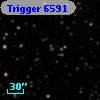 Trigger  6591