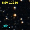 NSV 12950
