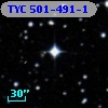 TYC  501-491-1