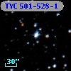 TYC  501-528-1