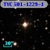 TYC  501-1229-1