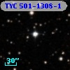 TYC  501-1308-1