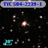 TYC  504-2239-1