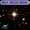 IRAS 20318+0335