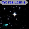 TYC  501-1295-1