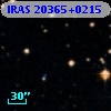 IRAS 20365+0215