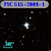 TYC  515-2009-1