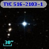 TYC  516-2103-1