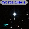 TYC  520-2480-1