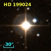 HD 199024