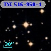 TYC  516-950-1