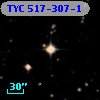 TYC  517-307-1