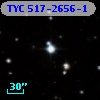 TYC  517-2656-1