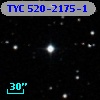 TYC  520-2175-1