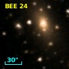 BEE 24