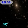 BEE 39
