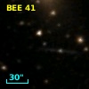 BEE 41