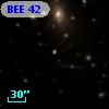 BEE 42