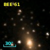 BEE 61