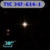 TYC  347-614-1