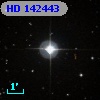 HD 142443
