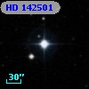 HD 142501