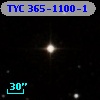 TYC  365-1100-1