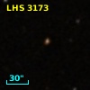 LHS  3173