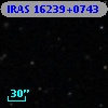IRAS 16239+0743