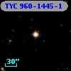 TYC  960-1445-1