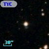 TYC  961-2304-1