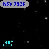 NSV  7926